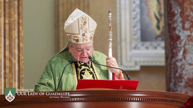 Cardinal Burke Condemns President Joe Biden’s Plan to Codify Roe V. Wade in Federal Law
