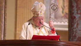 Cardinal Burke: Forces of the ‘Great Reset’ have used COVID to advance ‘evil agenda’