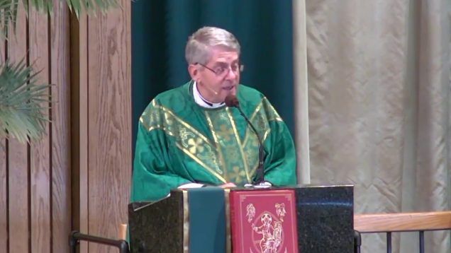 Fr. Dufner: Election 2020