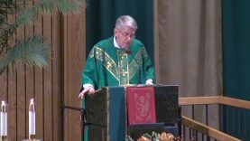 Pope Francis Has Undermined Church Teaching on Marriage and Family