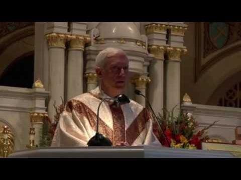 Priest Decrys Vatican Pachama Worship