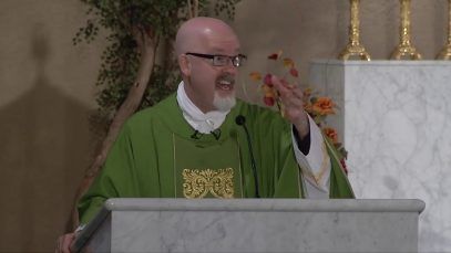 The Role of the Laity in Cleansing the Church