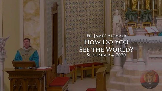 altman-20200904-still