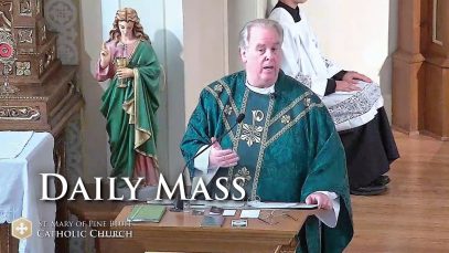 Sheep Without A Shepherd